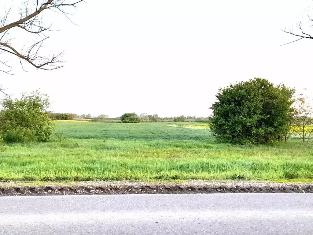 Участок в село Львовское, Крюковская улица (24 м) - Фото 1