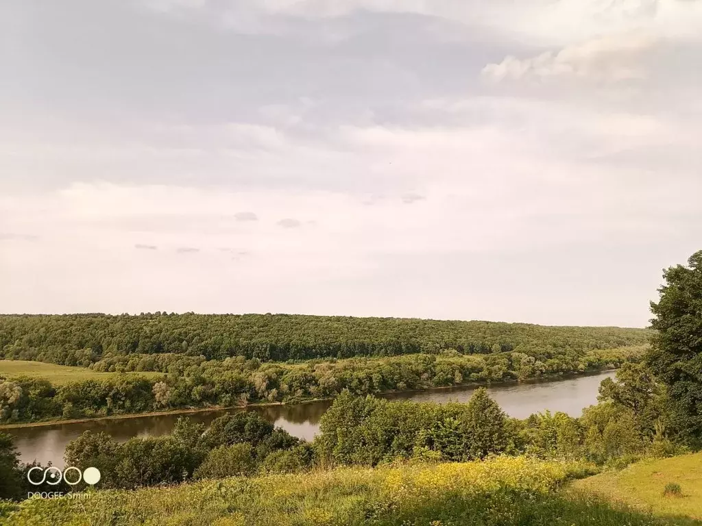 Дом в Калужская область, Перемышльский район, Ахлебинино с/пос, с. ... - Фото 2