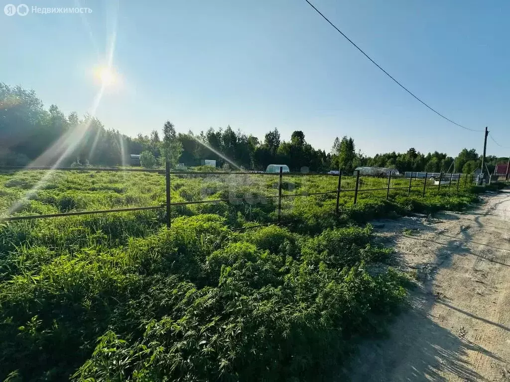 Участок в Нижнетавдинский район, СТ Здоровье-3, 7-я улица (20.13 м) - Фото 0