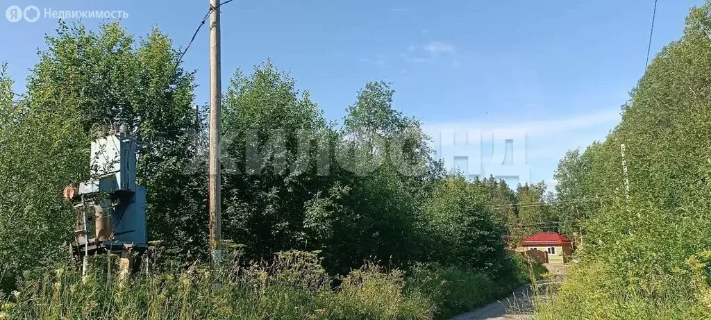 Участок в Архангельская область, Приморский муниципальный округ, ... - Фото 1