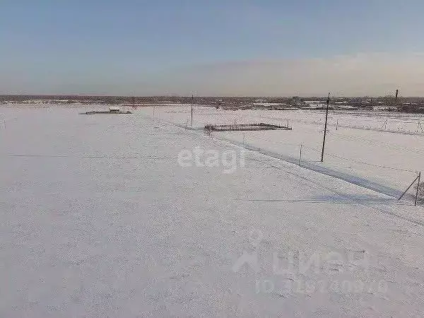Участок в Хабаровский край, Хабаровский район, с. Восточное ... - Фото 1