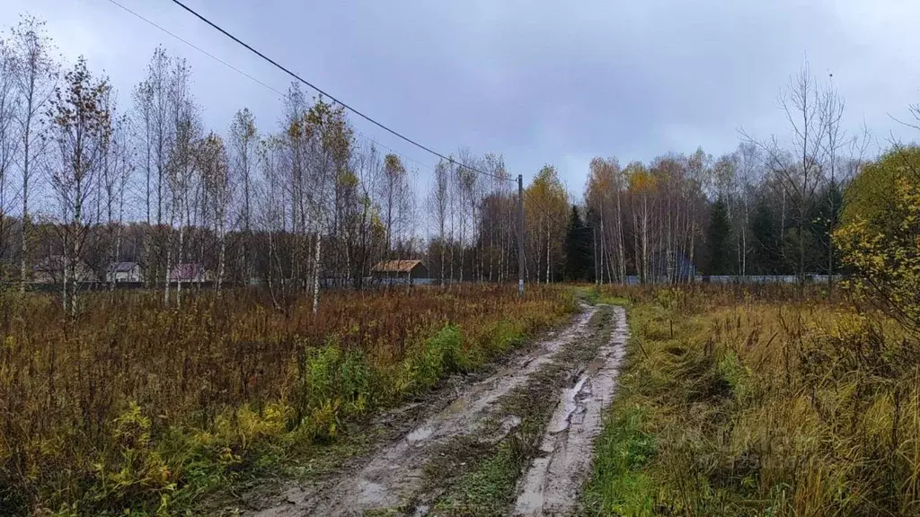 Участок в Московская область, Домодедово городской округ, с. Добрыниха ... - Фото 1