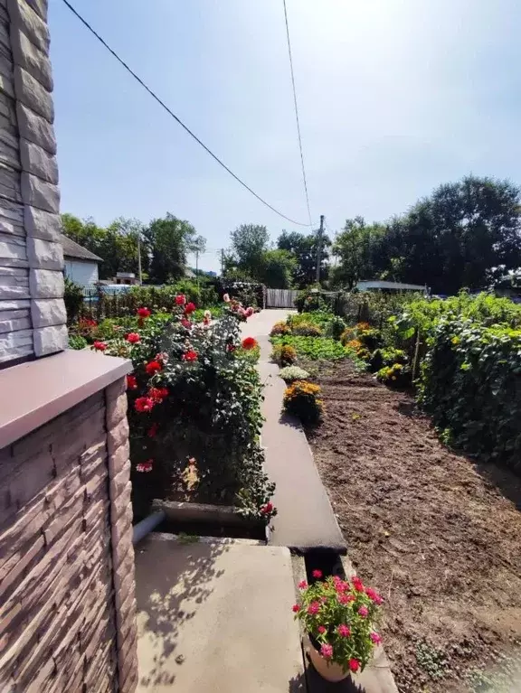 Дом в Амурская область, Благовещенск Северная ул., 13 (256 м) - Фото 1