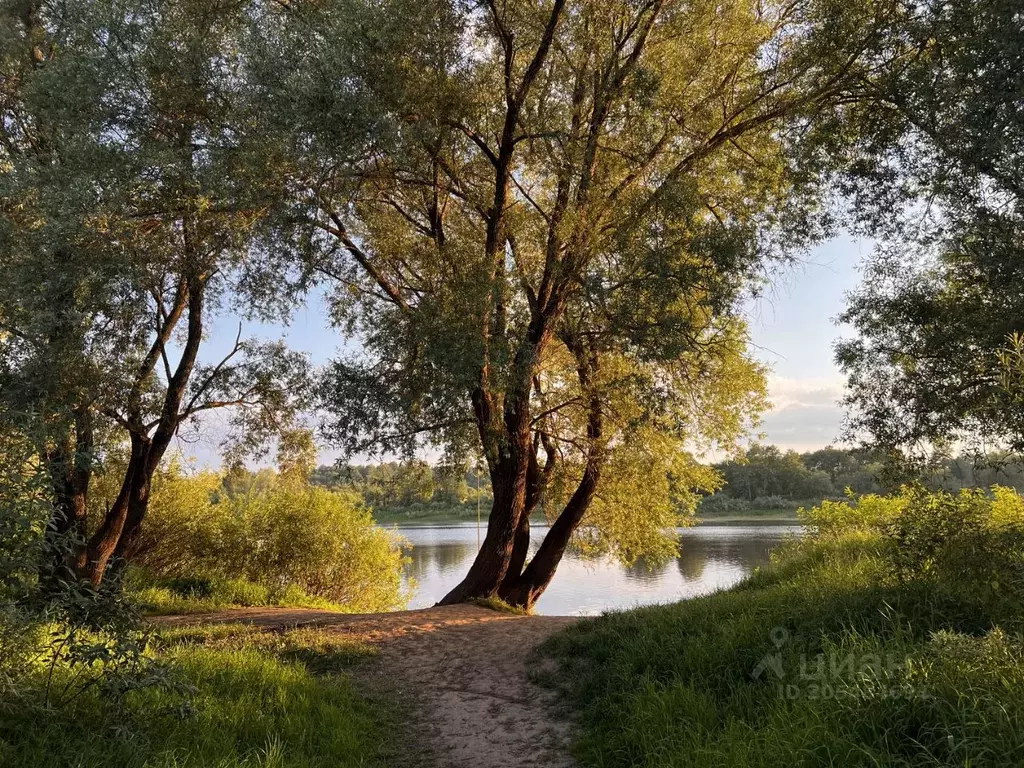 Участок в Новгородская область, Новгородский район, Савинское с/пос, ... - Фото 1