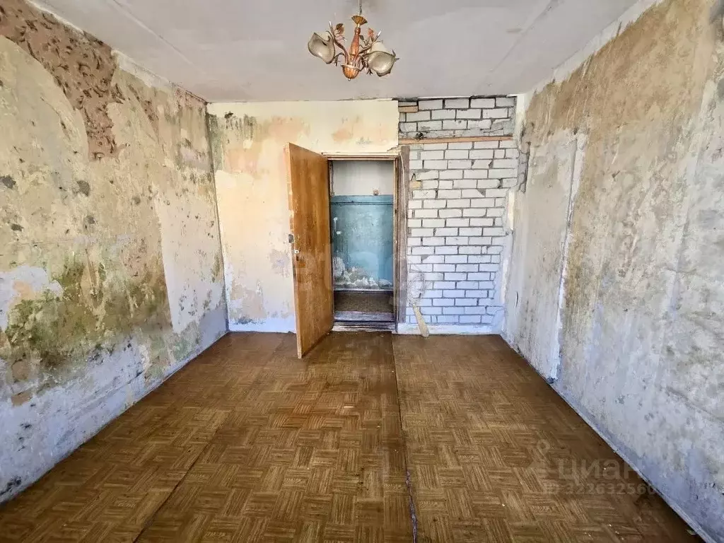 Комната Владимирская область, Покров Покров городской округ, ул. 3-го ... - Фото 2