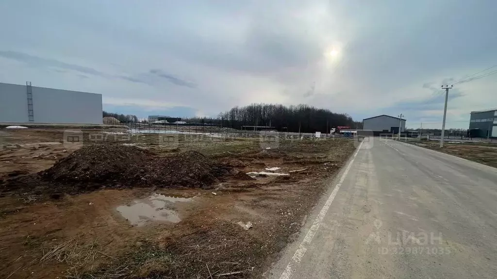 Участок в Татарстан, Казань Самосырово жилмассив, ул. Мира (29.0 сот.) - Фото 2