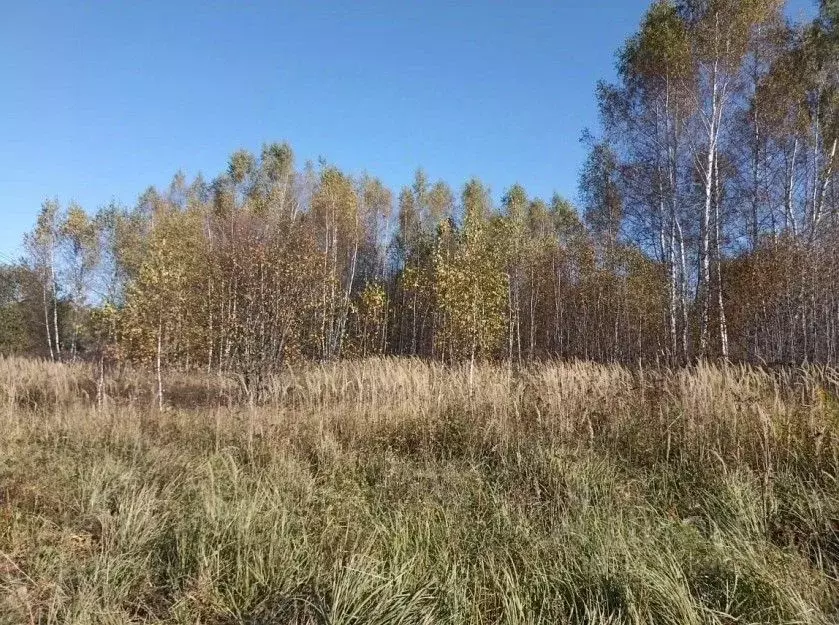 Участок в Московская область, Серпухов городской округ, д. Подмоклово  ... - Фото 0