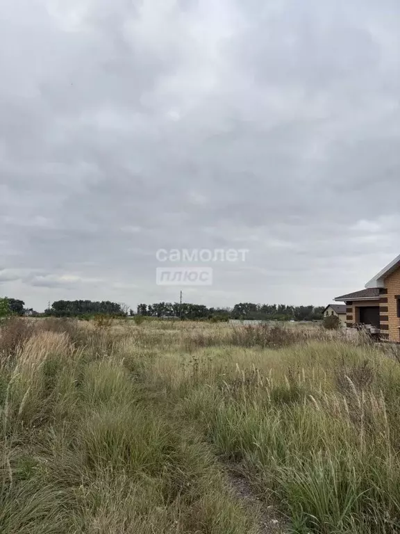 Участок в Липецкая область, Липецкий муниципальный округ, с. Ленино ... - Фото 2