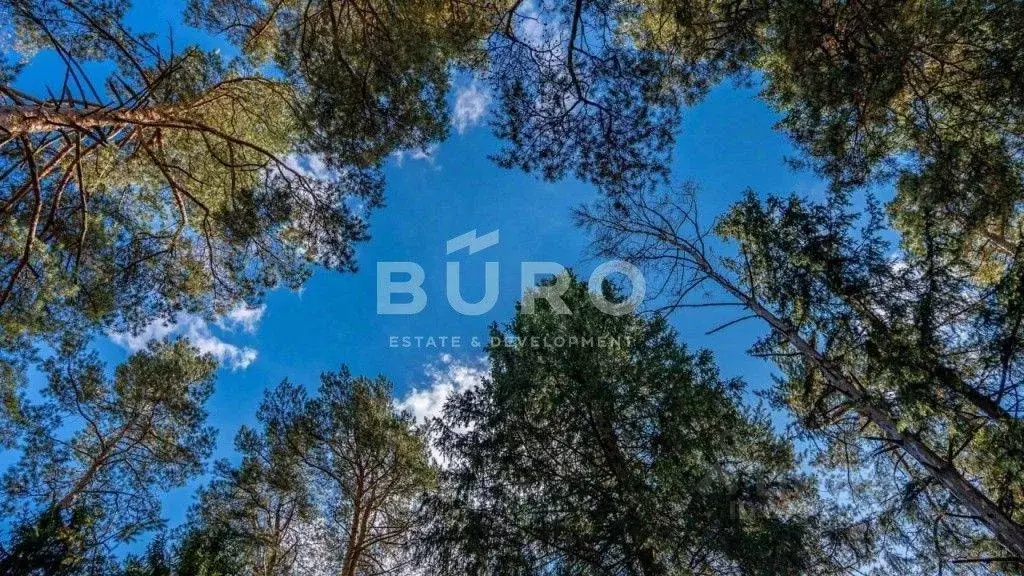 Участок, 34.2 сот., поселения (ижс) - Фото 1