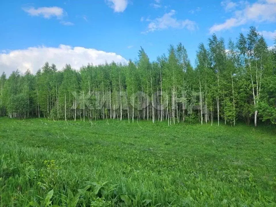 Участок в Новосибирская область, Мошковский район, с. Томилово ул. ... - Фото 0