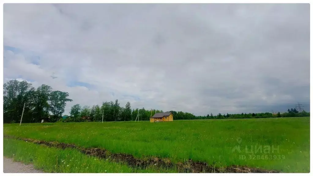 Участок в Санкт-Петербург, Санкт-Петербург, Колпино ш. Усть-Ижорское, ... - Фото 1