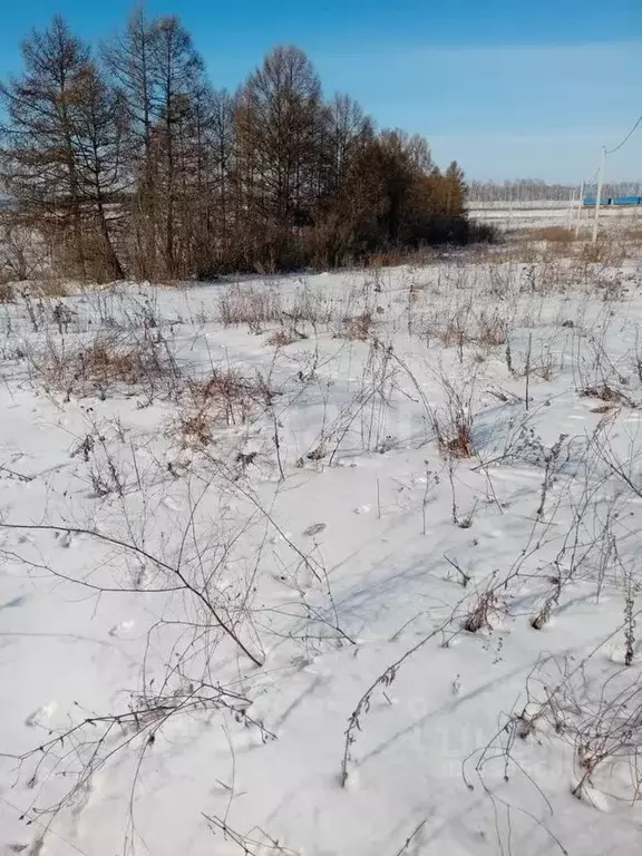 Участок в Белгородская область, Бирюч Красногвардейский район, ул. ... - Фото 0