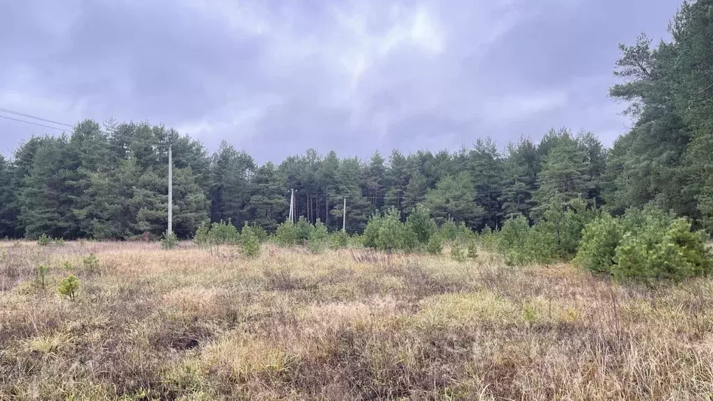 Участок в Тверская область, Конаковский муниципальный округ, пос. ... - Фото 1