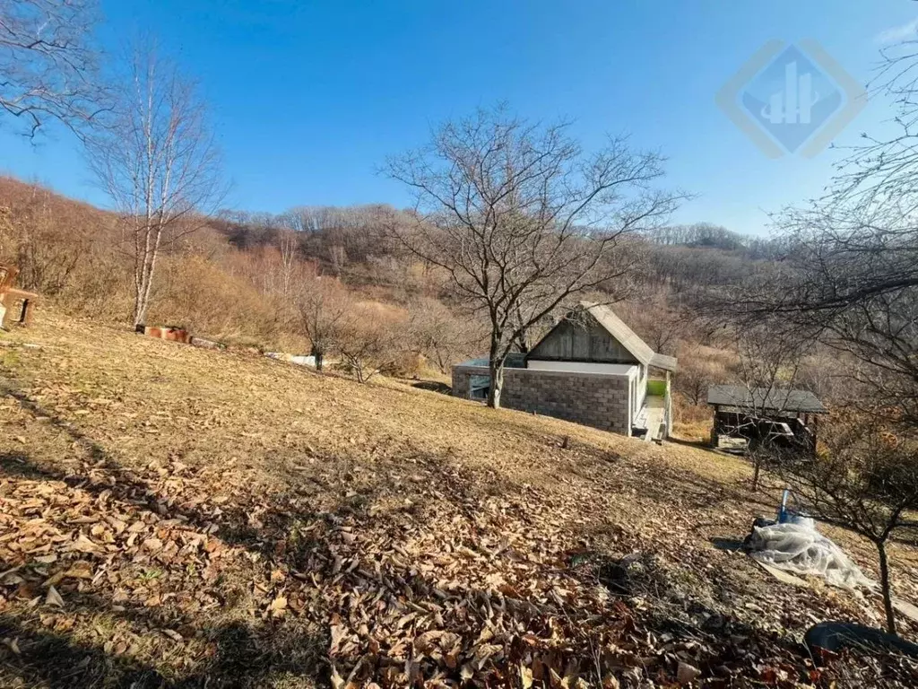 Дом в Приморский край, Партизанский муниципальный округ, Падь ... - Фото 1