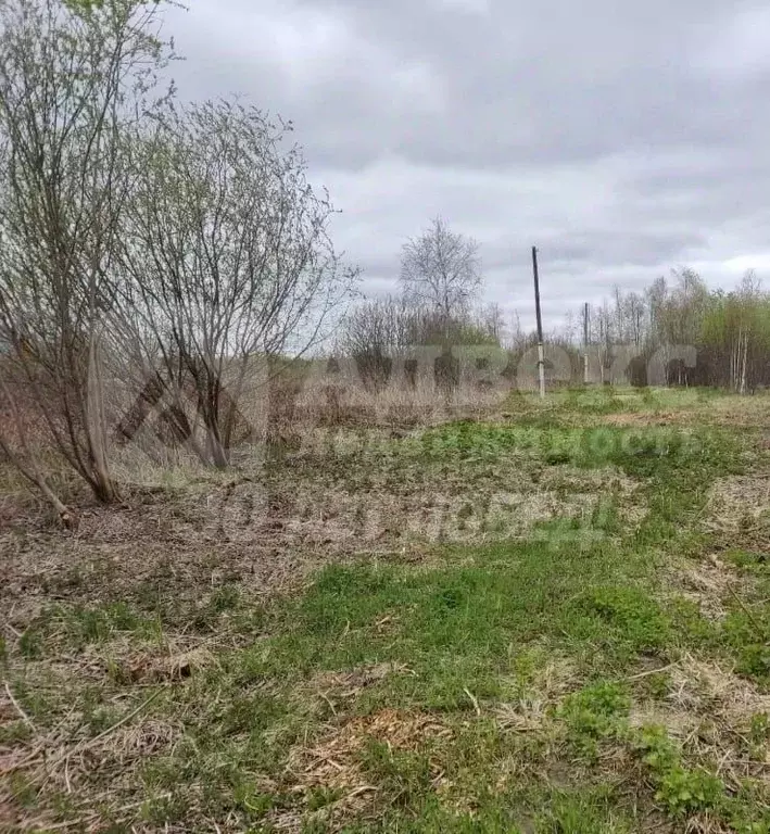 Участок в Тюменская область, Нижнетавдинский муниципальный округ, ... - Фото 1