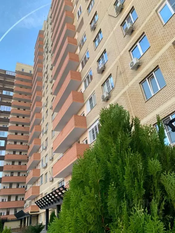 2-к кв. Астраханская область, Астрахань ул. Трофимова, 6 (60.0 м) - Фото 2