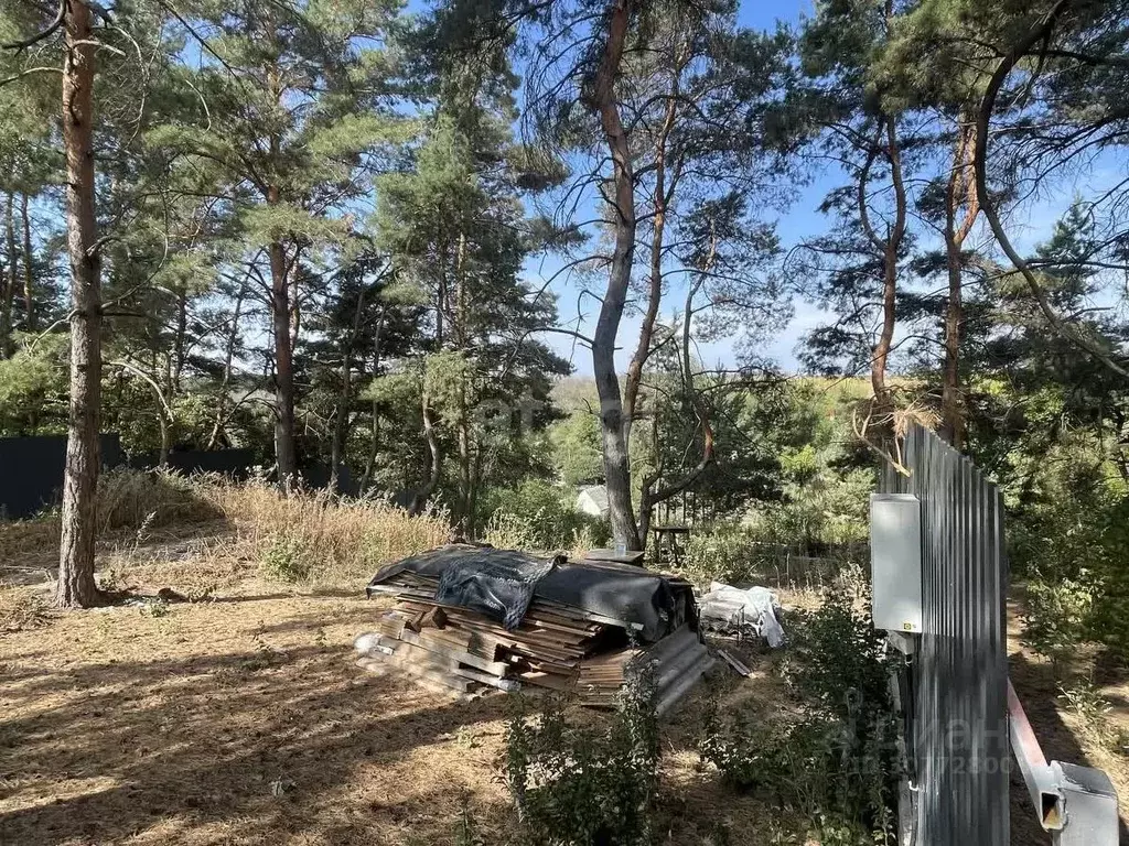 Участок в Белгородская область, Белгородский район, Тавровское с/пос, ... - Фото 1