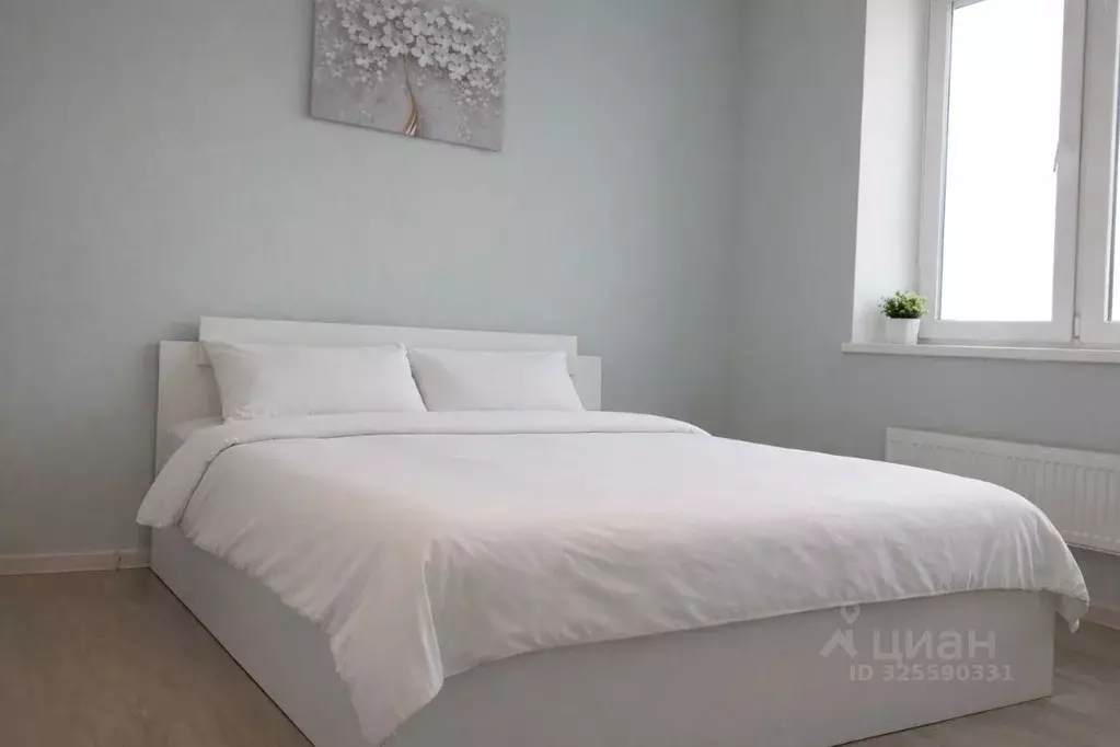 Студия Московская область, Королев Октябрьский бул., 26 (23.0 м) - Фото 1