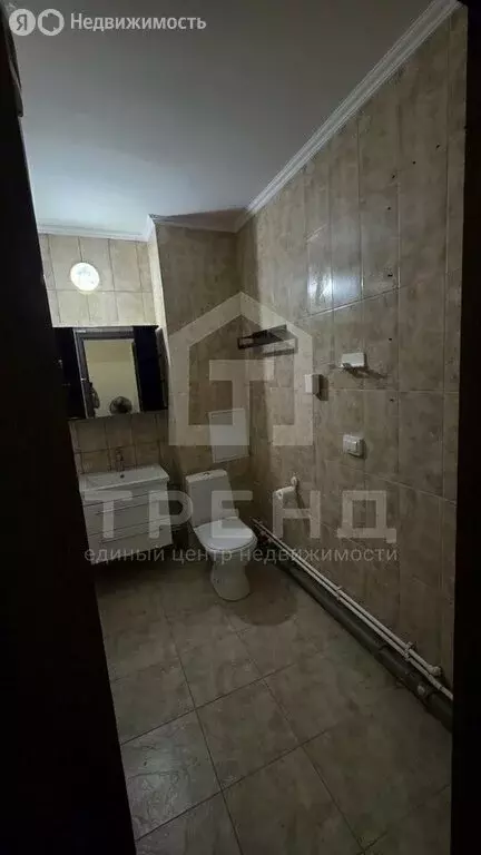 Квартира-студия: Парголово, Толубеевский проезд, 20к1 (28.5 м) - Фото 0