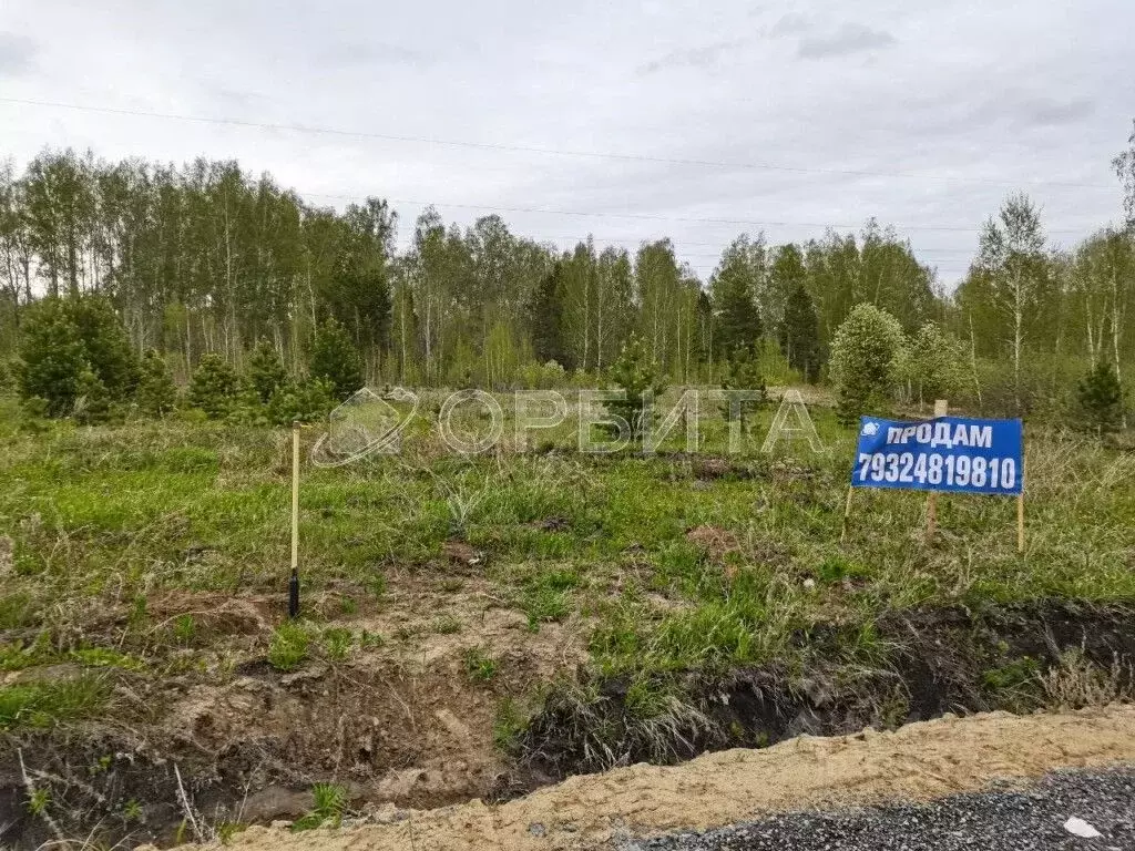 Участок в Тюменская область, Тюменский муниципальный округ, Каменское ... - Фото 2