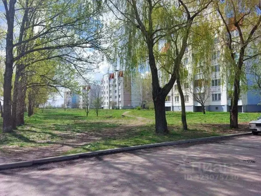 3-к кв. Воронежская область, с. Новая Усмань ул. Полевая, 55 (72.0 м) - Фото 2