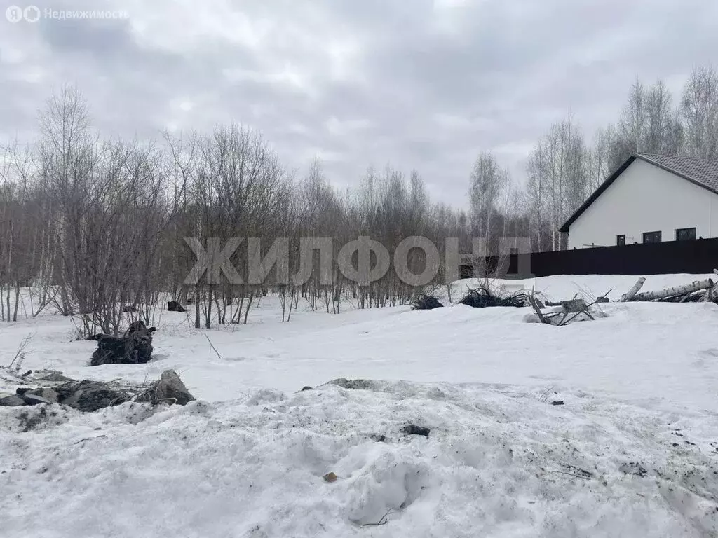 Участок в Новосибирск, Спринтерская улица (8.62 м) - Фото 2