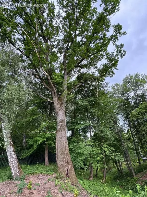 Участок в сельское поселение Малаховское, КП Нова лайф (15.3 м) - Фото 0