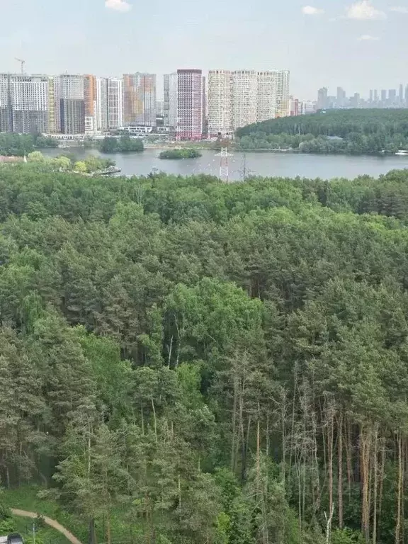 Студия Москва № 100 кв-л,  (20.0 м) - Фото 2