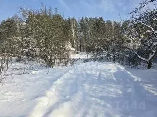 Участок в Брянская область, Брянск просп. Ленина (5.0 сот.) - Фото 1