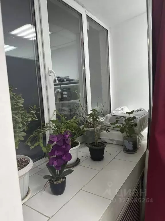 Торговая площадь в Самарская область, Самара пос. Красная Глинка, 1-й ... - Фото 2