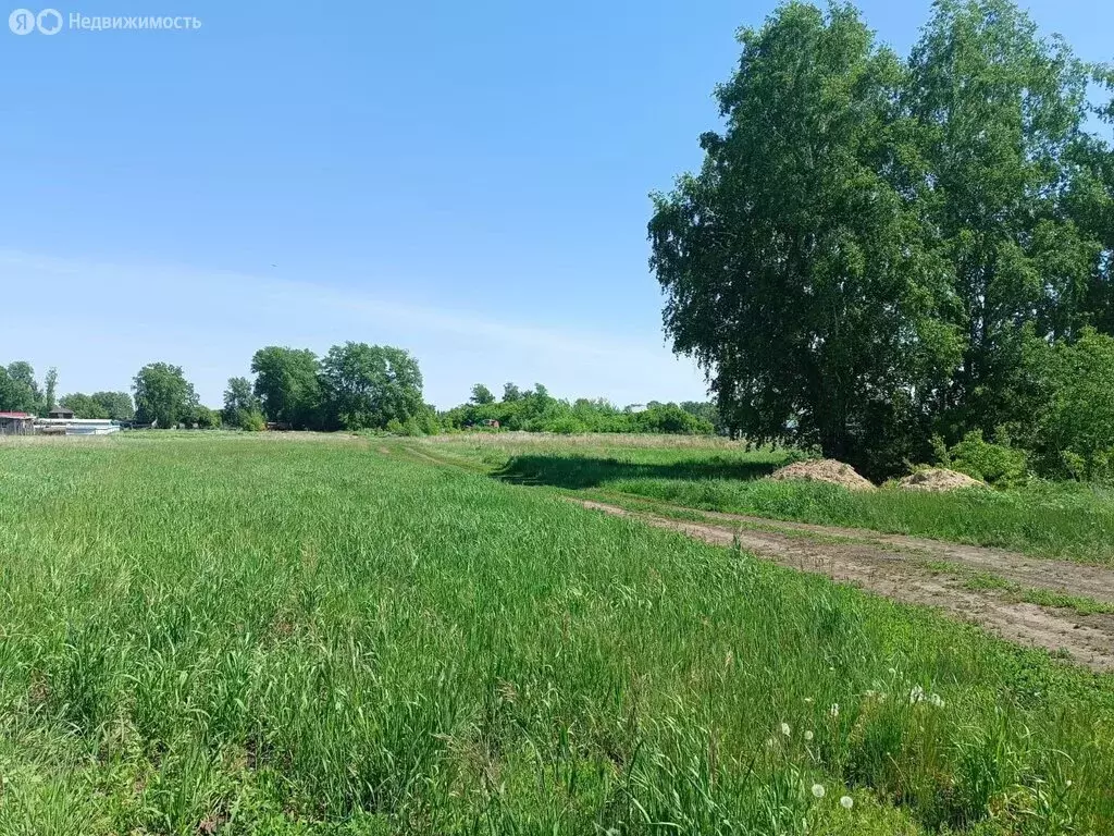 Дом в село Новопичугово, Трактовая улица (82 м) - Фото 0