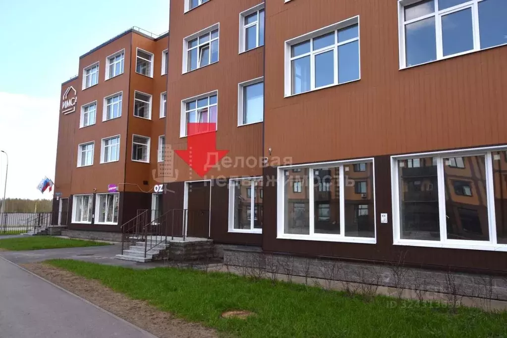 Торговая площадь в Новгородская область, Великий Новгород ул. ... - Фото 2