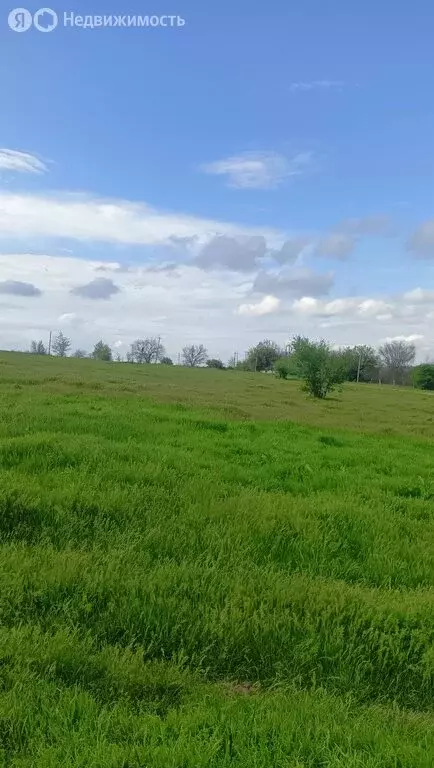 Дом в село Труновское, улица Ленина (84.4 м) - Фото 0