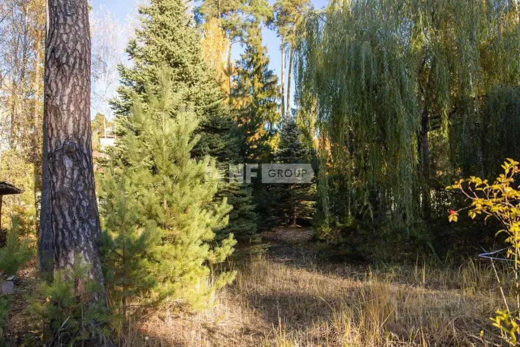 Участок в Московская область, Одинцовский городской округ, пос. ... - Фото 1