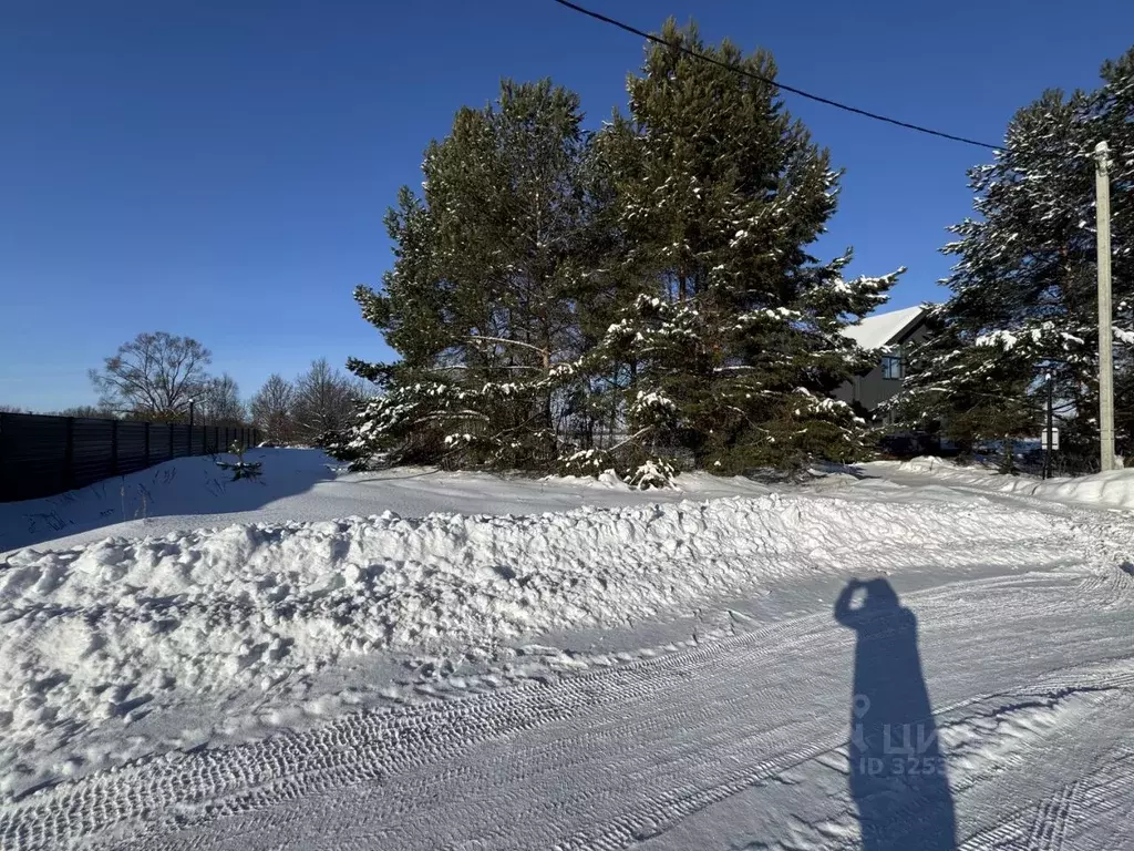 Участок в Пензенская область, Бессоновский район, пос. Подлесный, ... - Фото 2