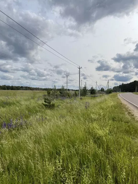 Участок 3,71 га (СНТ, ДНП) - Фото 1
