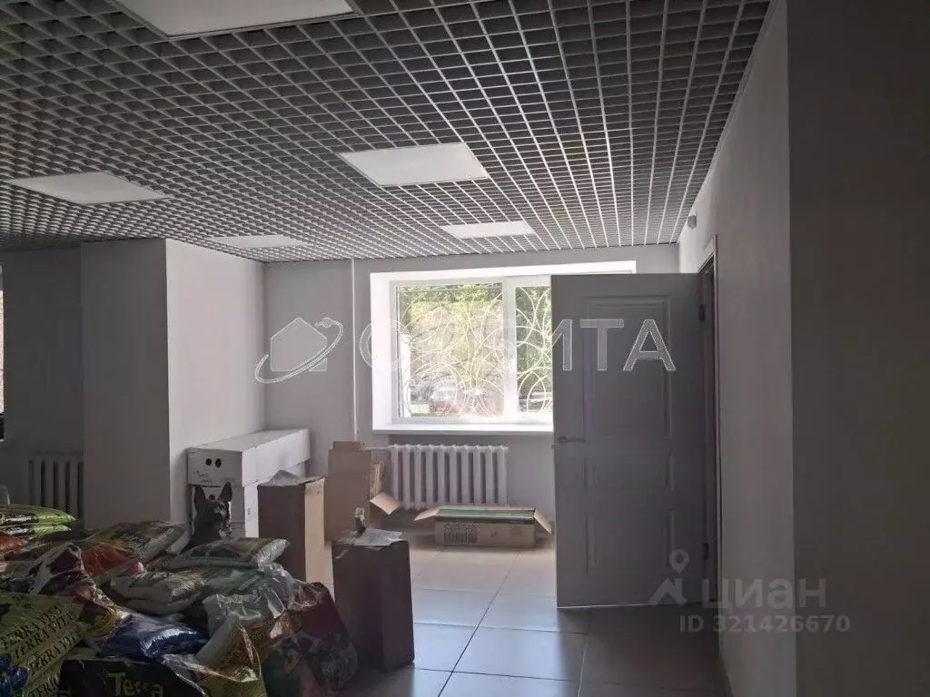 Помещение свободного назначения в Тюменская область, Тюмень ул. 50 лет ... - Фото 1