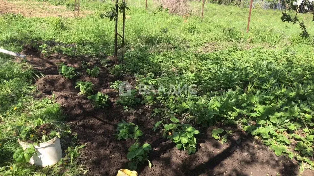 Участок в Нижегородская область, Нижний Новгород д. Анкудиновка, ул. ... - Фото 1