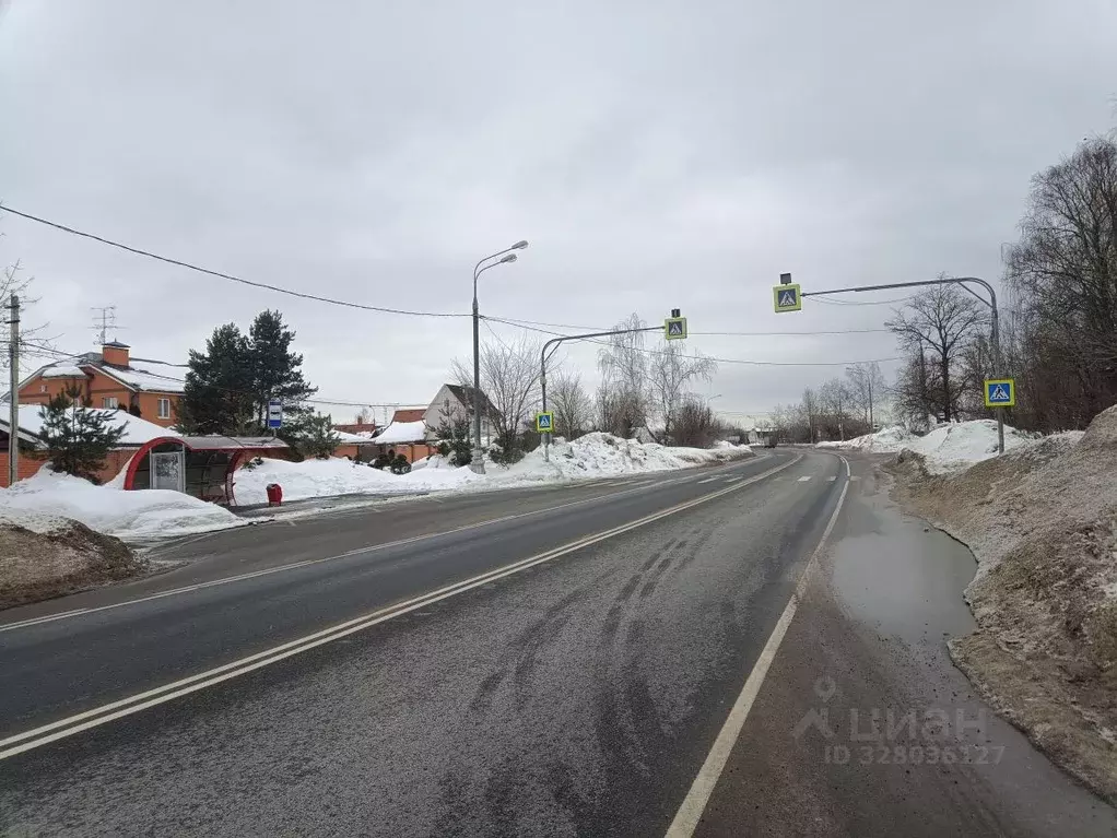 Участок в Московская область, Богородский городской округ, с. Ямкино ... - Фото 1
