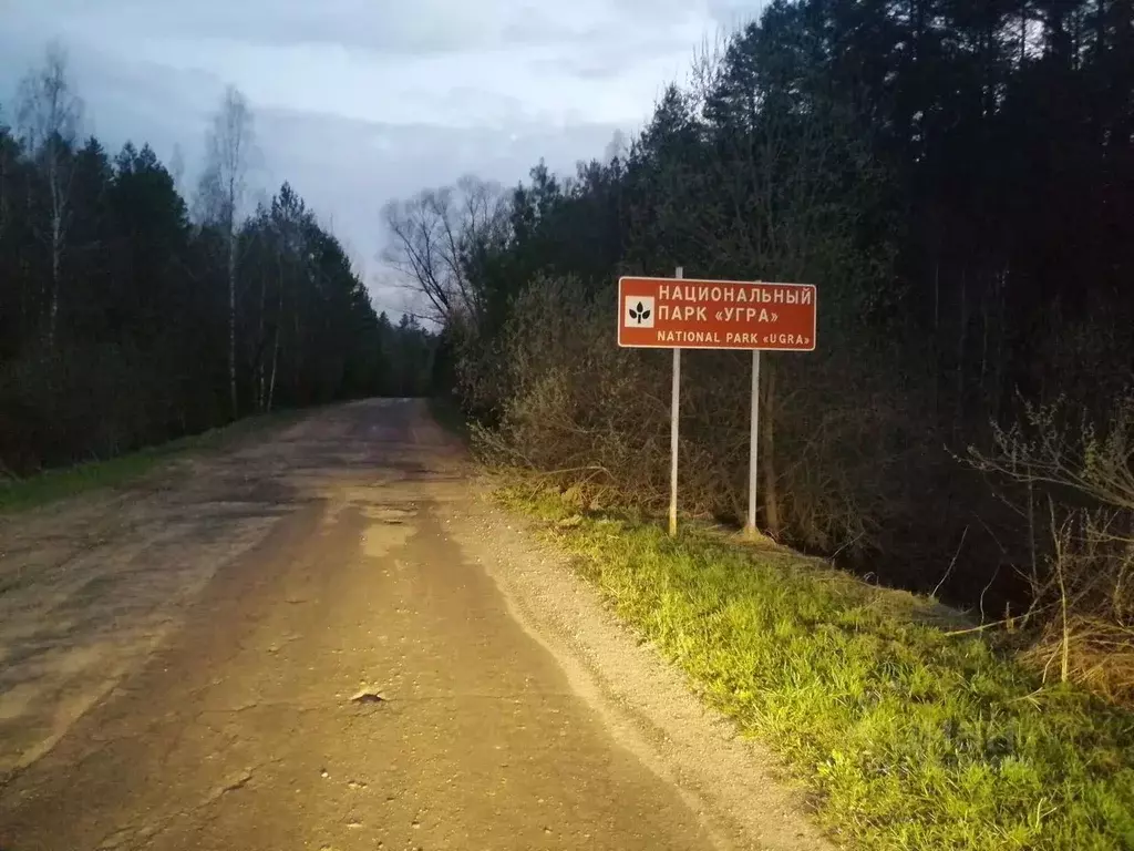 Участок в Калужская область, Дзержинский муниципальный округ, Рудня ... - Фото 1