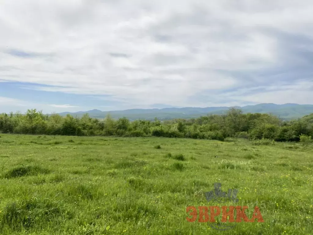 Участок в Краснодарский край, Крымск  (170.0 сот.) - Фото 1