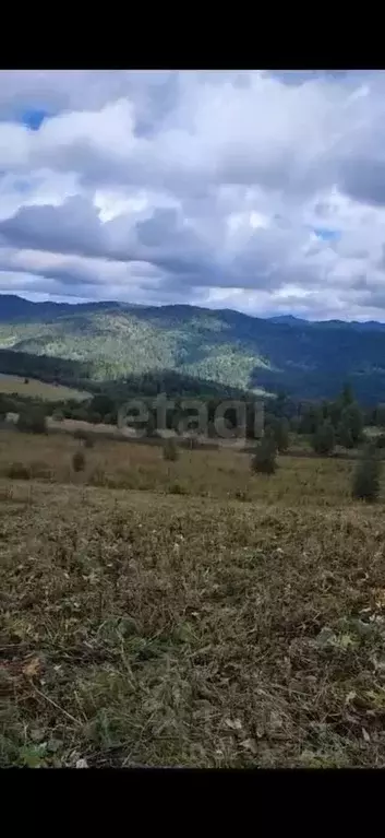 Участок в Алтай, Чемальский район, Элекмонарское с/пос, Седьмое Небо ... - Фото 0