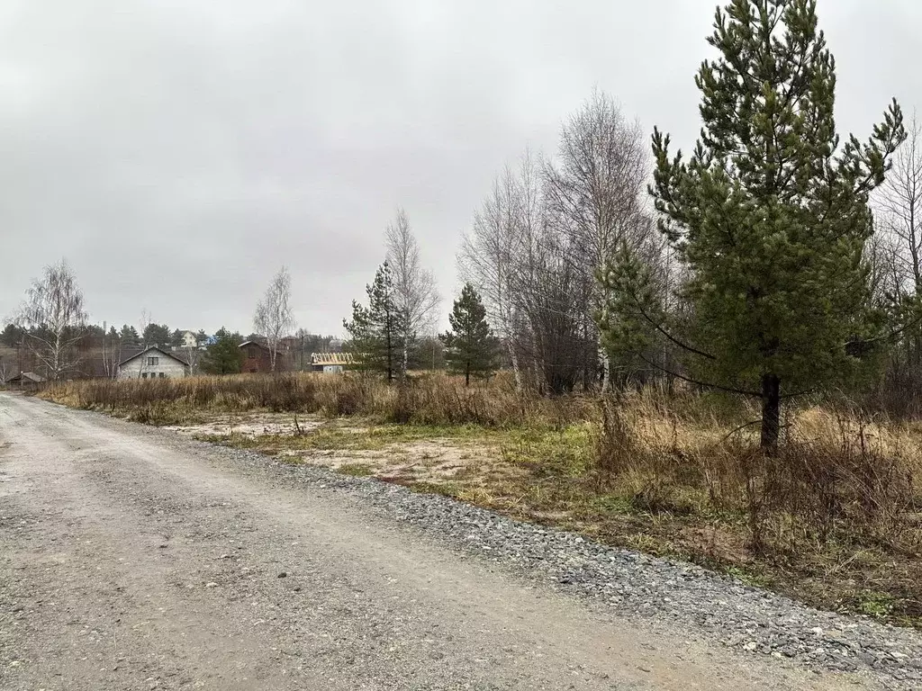 Участок в Татарстан, Пестречинский район, Богородское с/пос, с. ... - Фото 1
