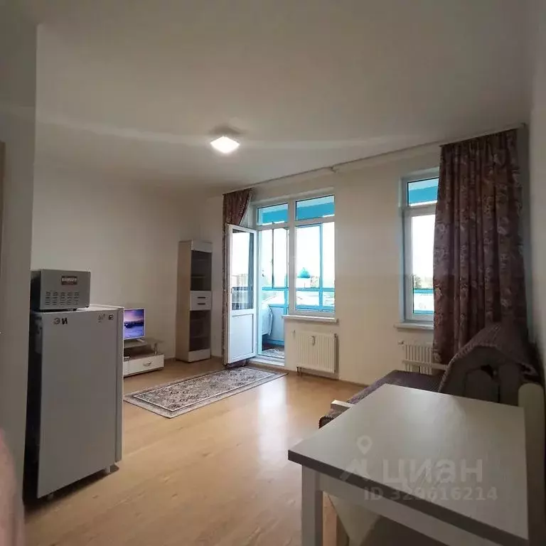 Студия Санкт-Петербург аллея Арцеуловская, 23к1 (24.0 м) - Фото 1