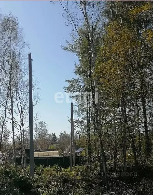 Участок в Сахалинская область, Южно-Сахалинск Труженик СНТ,  (8.0 ... - Фото 0