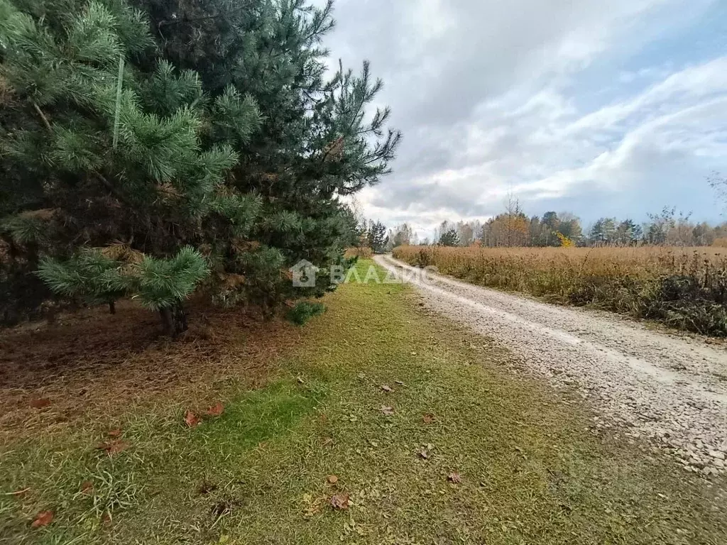 Участок в Владимирская область, Собинский муниципальный округ, д. ... - Фото 2