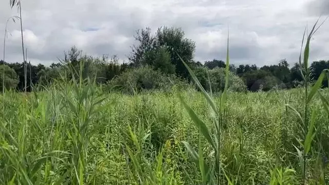 Участок 6 сот. (СНТ, ДНП) - Фото 1