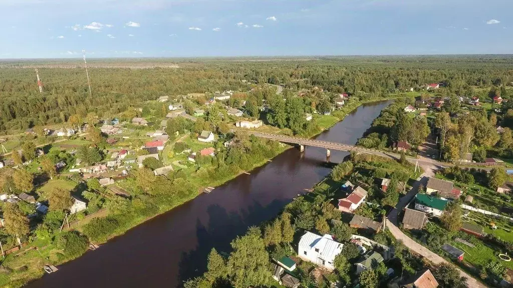 Участок в Новгородская область, Чудовский район, Грузинское с/пос, с. ... - Фото 0