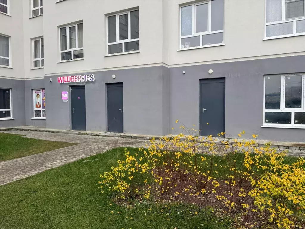 Помещение свободного назначения в Тверская область, Тверь ул. ... - Фото 2