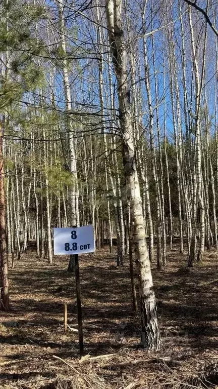 Участок в Московская область, Ступино городской округ, д. Назарово  ... - Фото 0